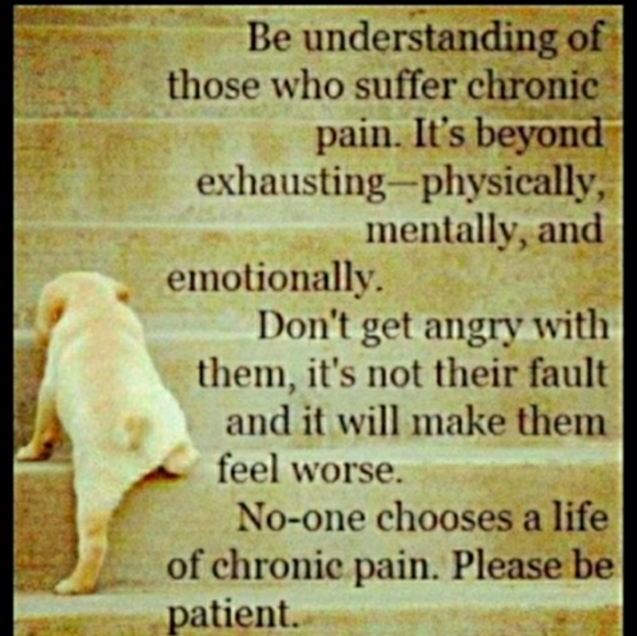 CREWNECK Sweater HUNTER GREEN 100% COTTON VNPLC Relativity Sz L - Picture 7 of 16